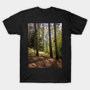 Komorebi Sunshine filtering through the trees T-Shirt